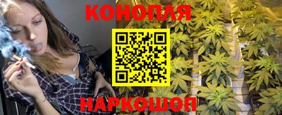 дмт Малгобек