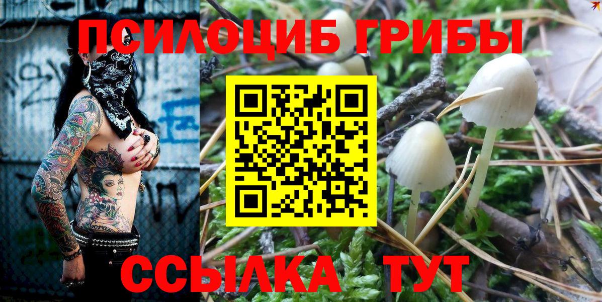 Галлюциногенные грибы ЛСД Владикавказ